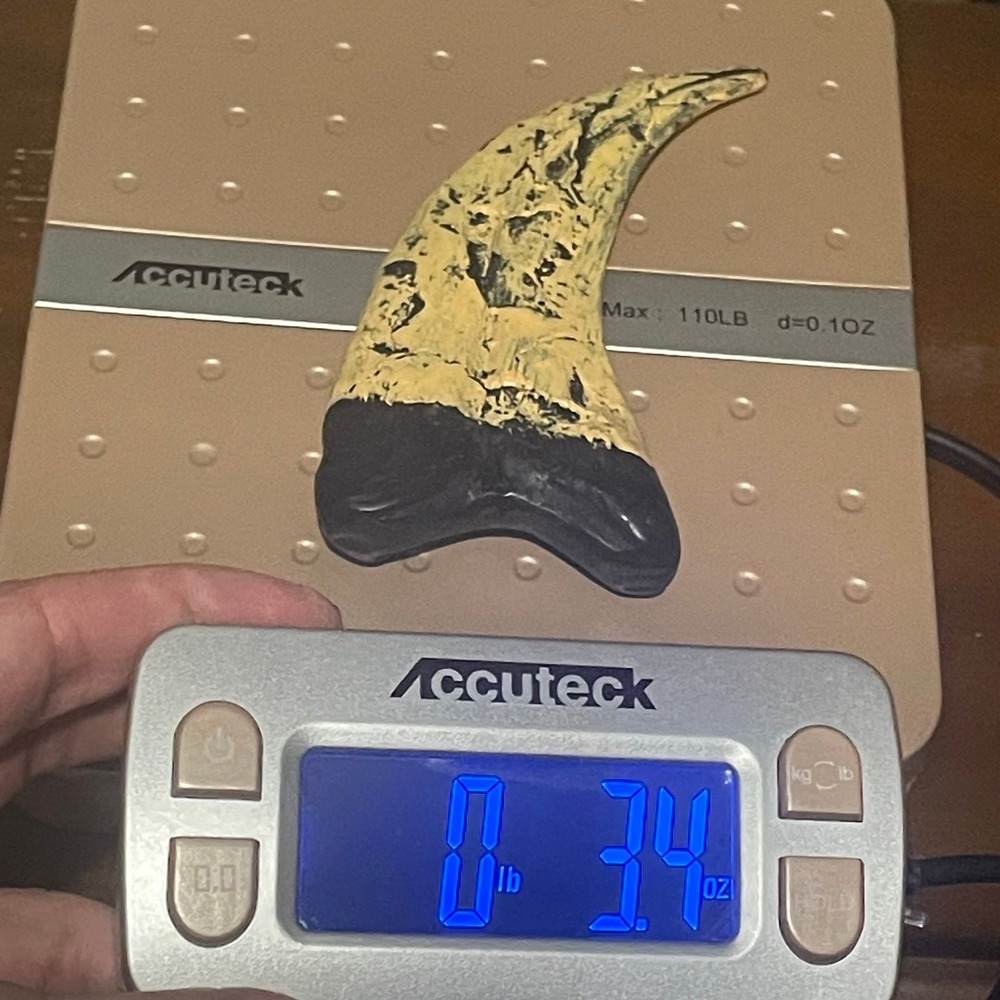 Jurassic Park Velociraptor Claw Prop Replica - Solid Resin - Heavy 3.4oz - 5" - Picture 12 of 12